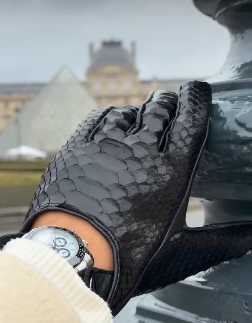 HIMATEX Premium Reptile-Textured Leather Driving Gloves